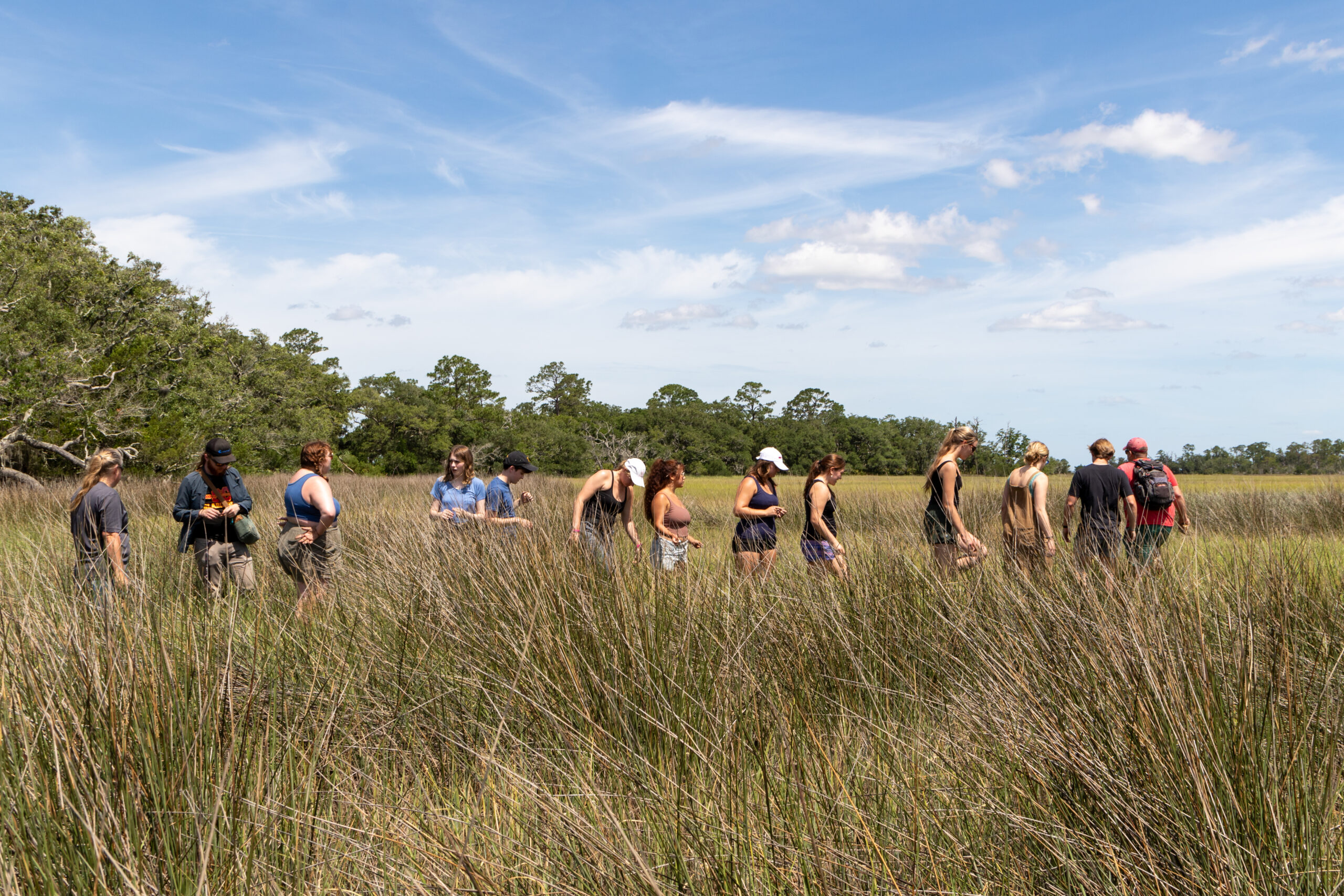 photo of people walking in marsh, day