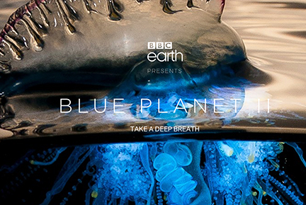 photo of jellyfish half in water