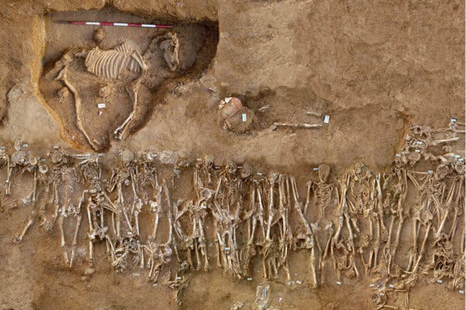 photo of ground with uncovered skeletons of humans and horse