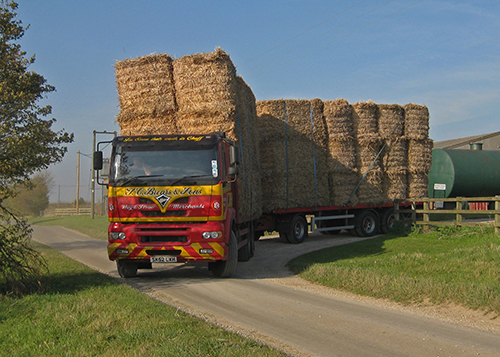 transporting miscanthus