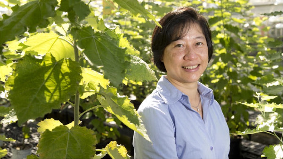 photo of woman in greenhouse garden