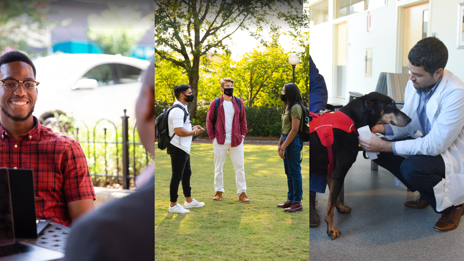 composite of three photos with people and a dog