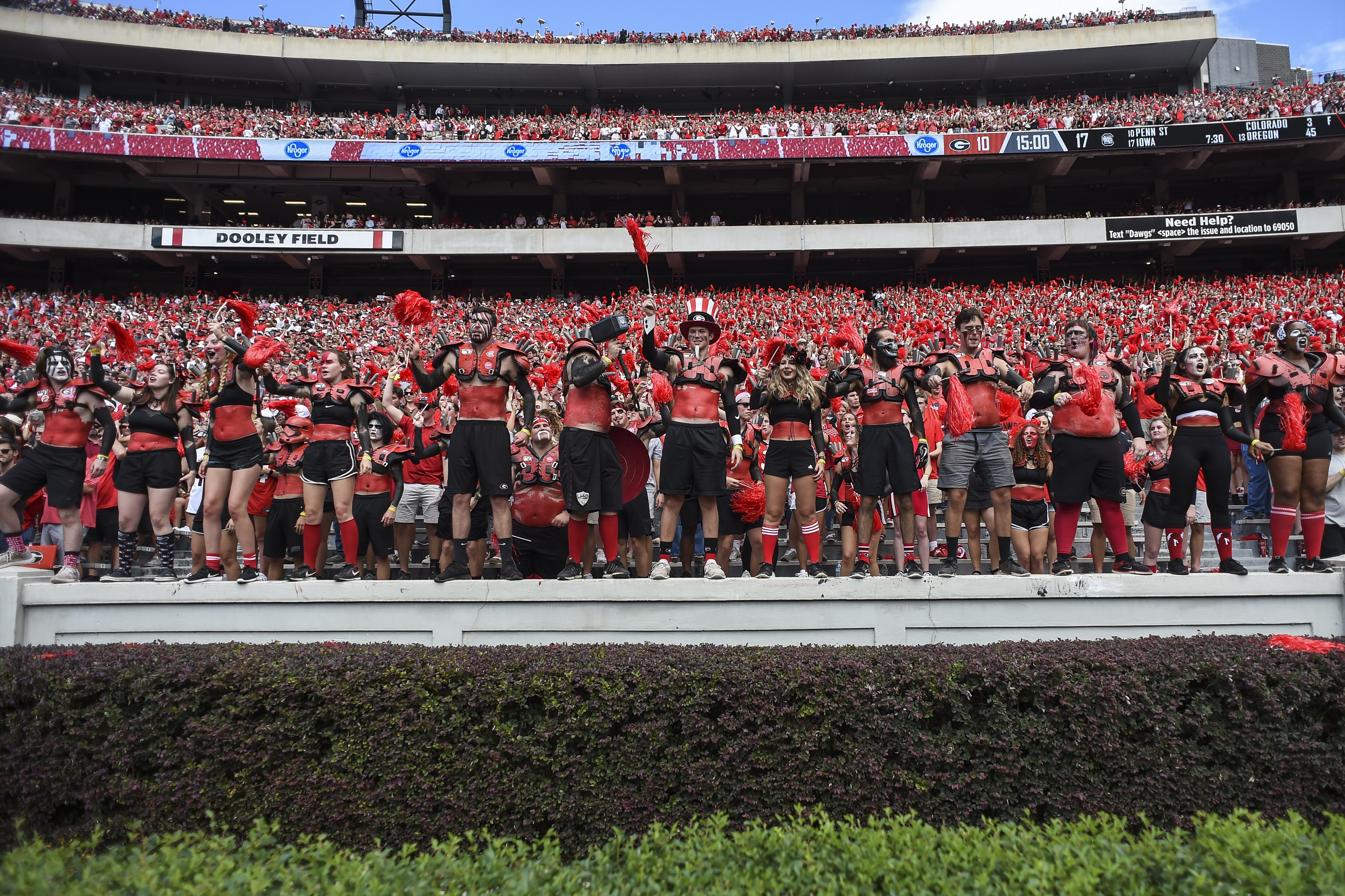 photo of people in the stands awn game day