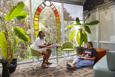 Student being advised by Career Counselor