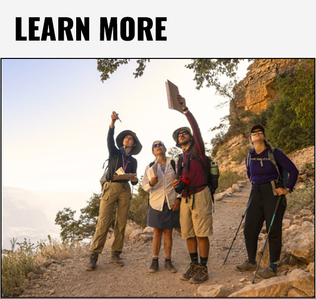 Learn more about study away