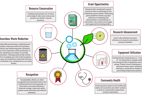 diagram graphic with text and illustrations related to sustainability
